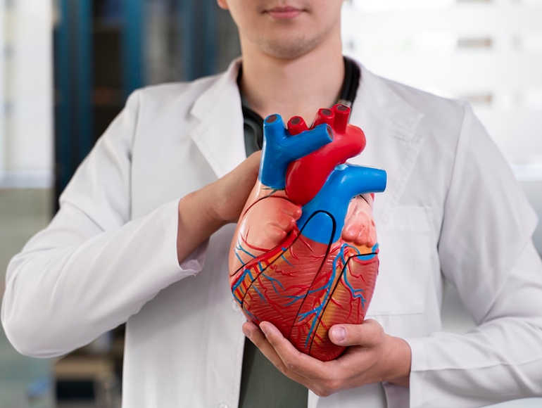 When Should You See a Cardiologist or Heart Surgeon?