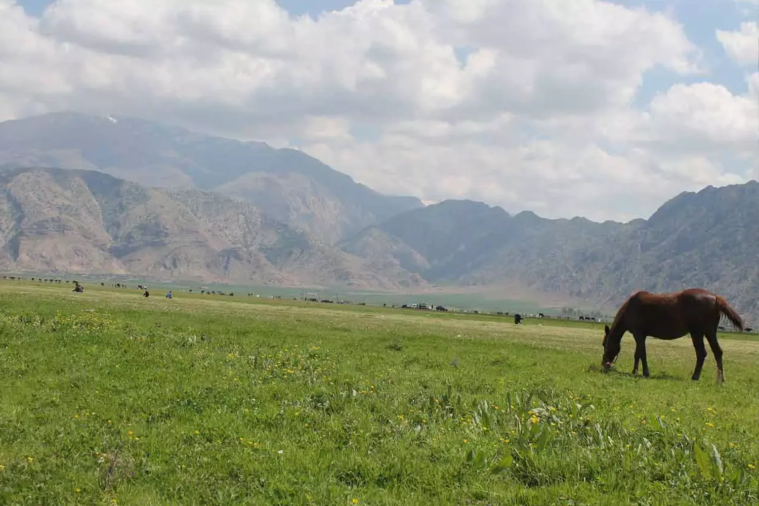 Arjan Plain: The green gem of Fars nature.
