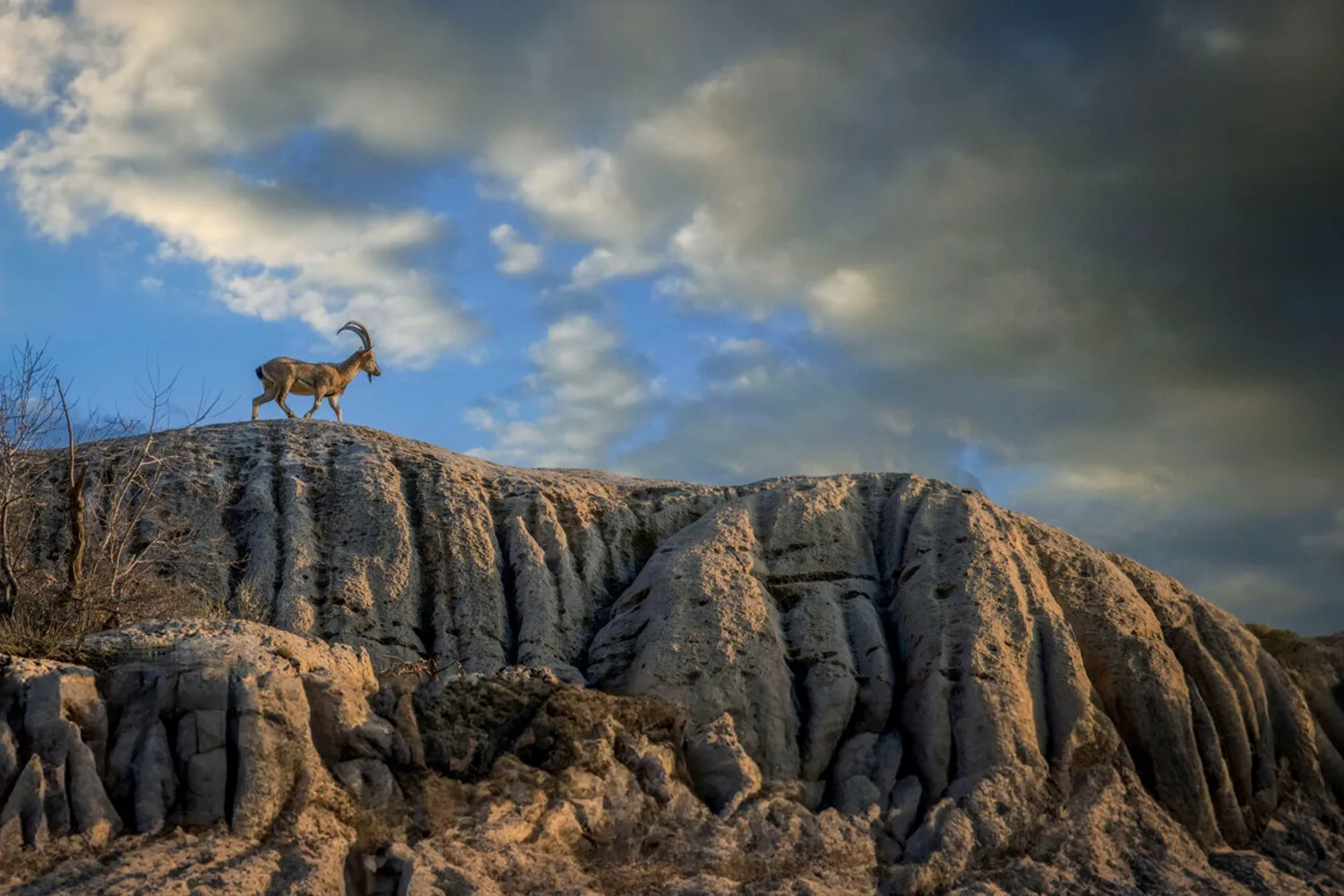Bemo National Park: A mysterious wildlife world of Iran.