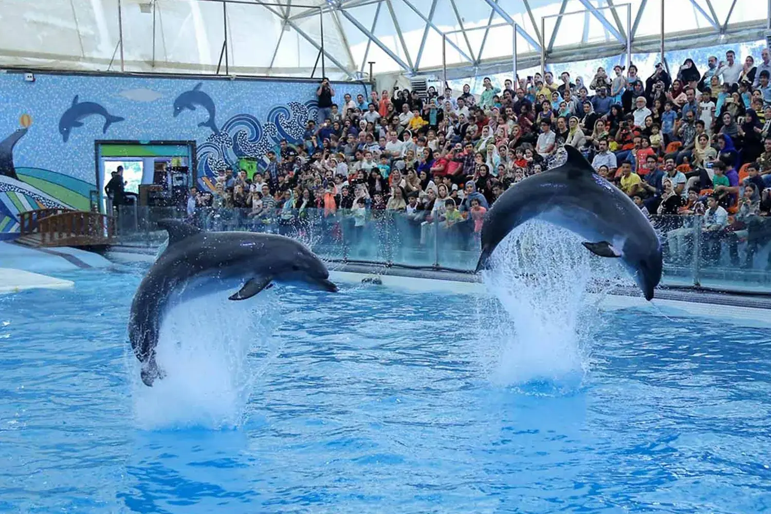 Dolphin Park and Bird Garden — Home to dolphins, seals, and exotic birds.