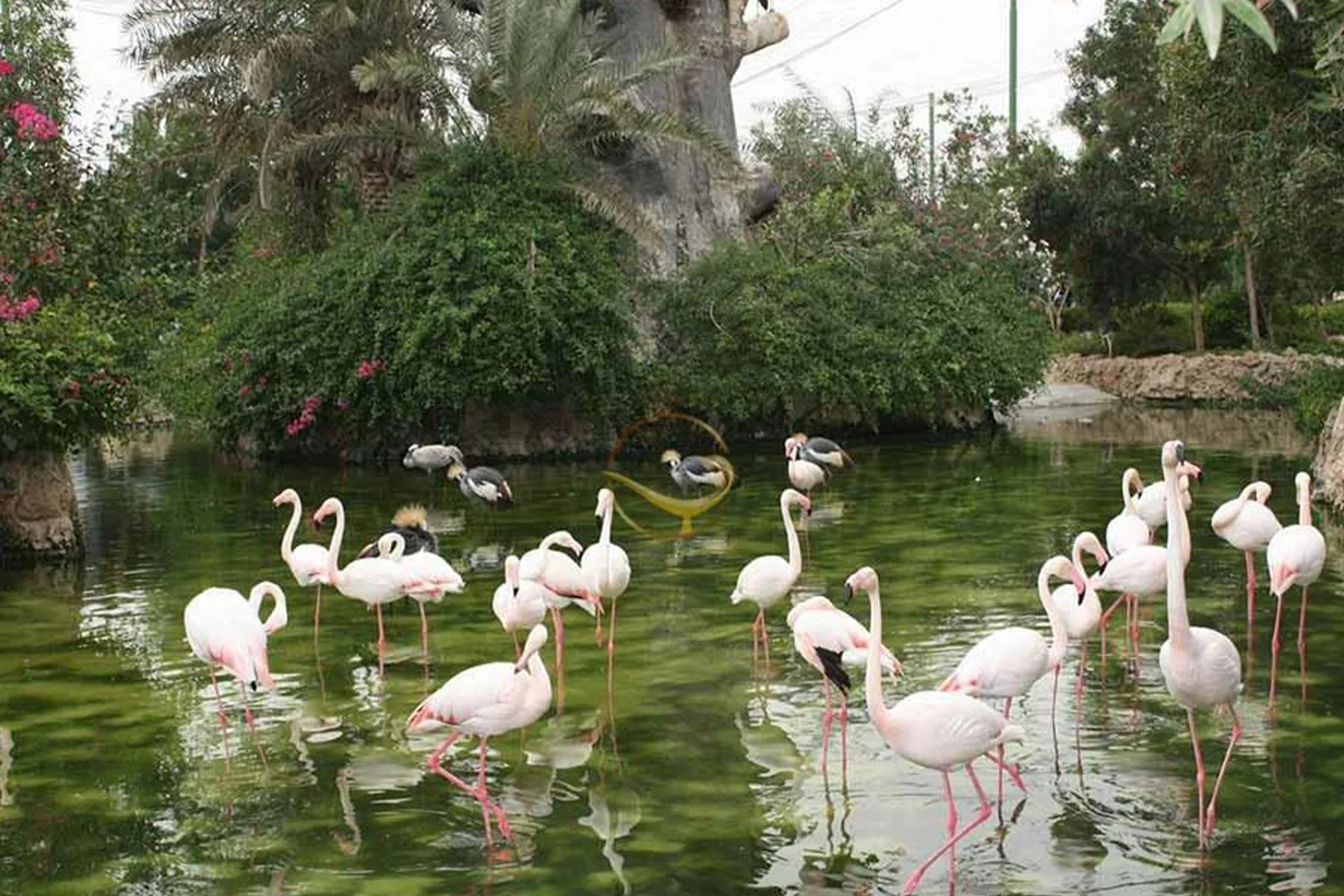 Dolphin Park and Bird Garden — Home to dolphins, seals, and exotic birds.
