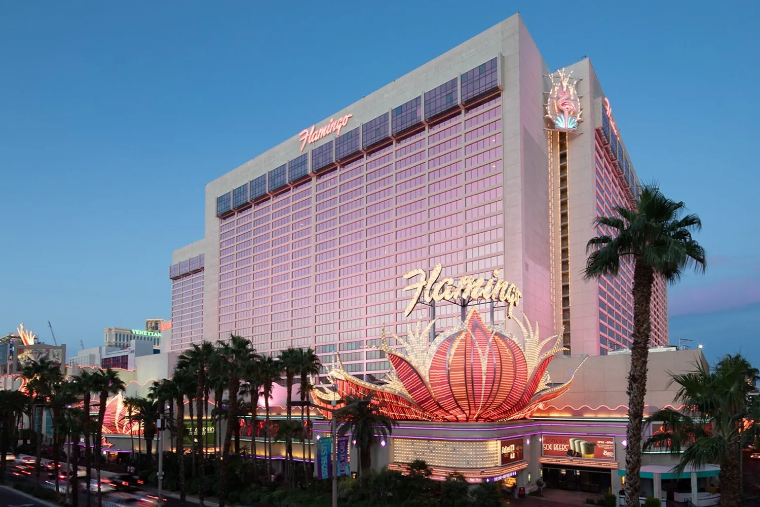 Flamingo Hotel — A comfortable and affordable option.