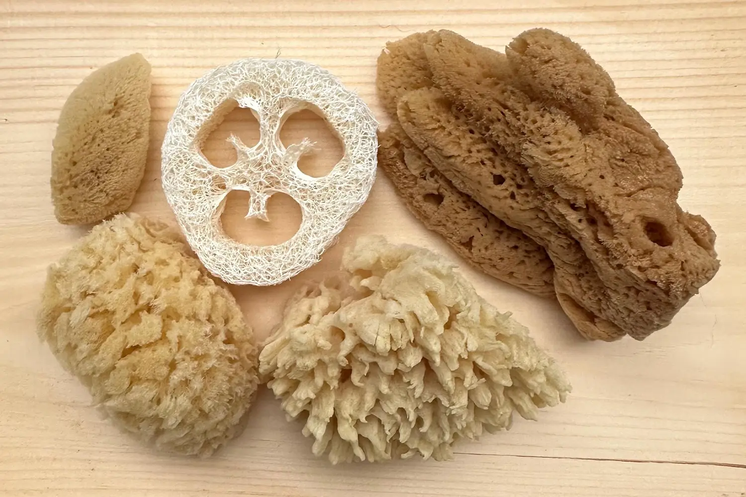 Sea-based products — Items like natural sea sponges and coral decorations.