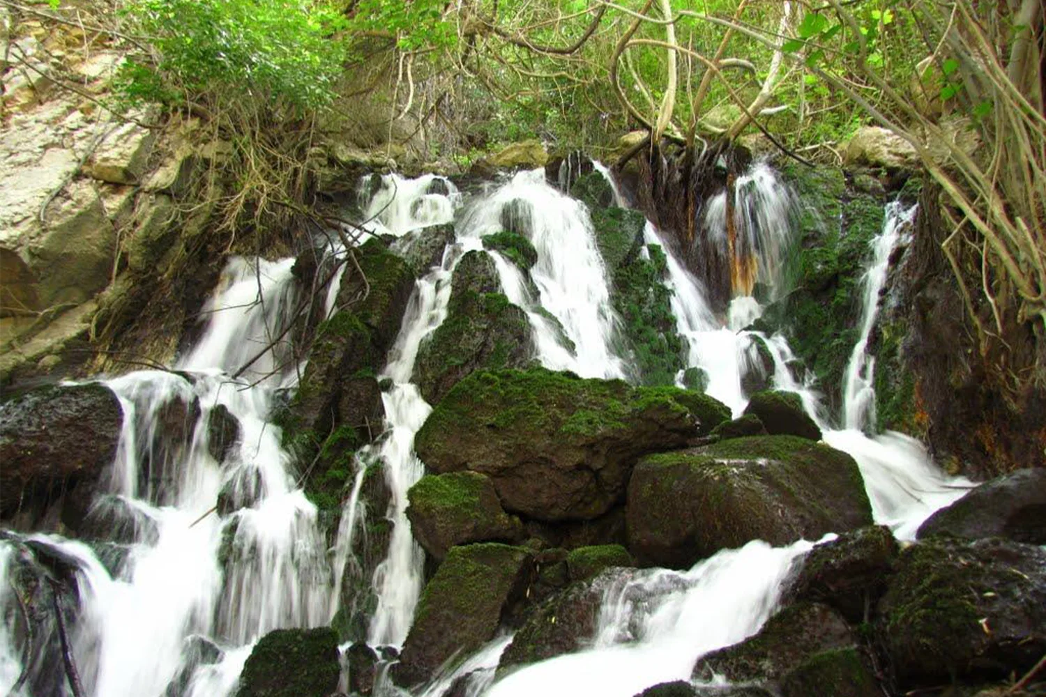 Tang Dam Asb: A hidden paradise of mint and oak tree shade.