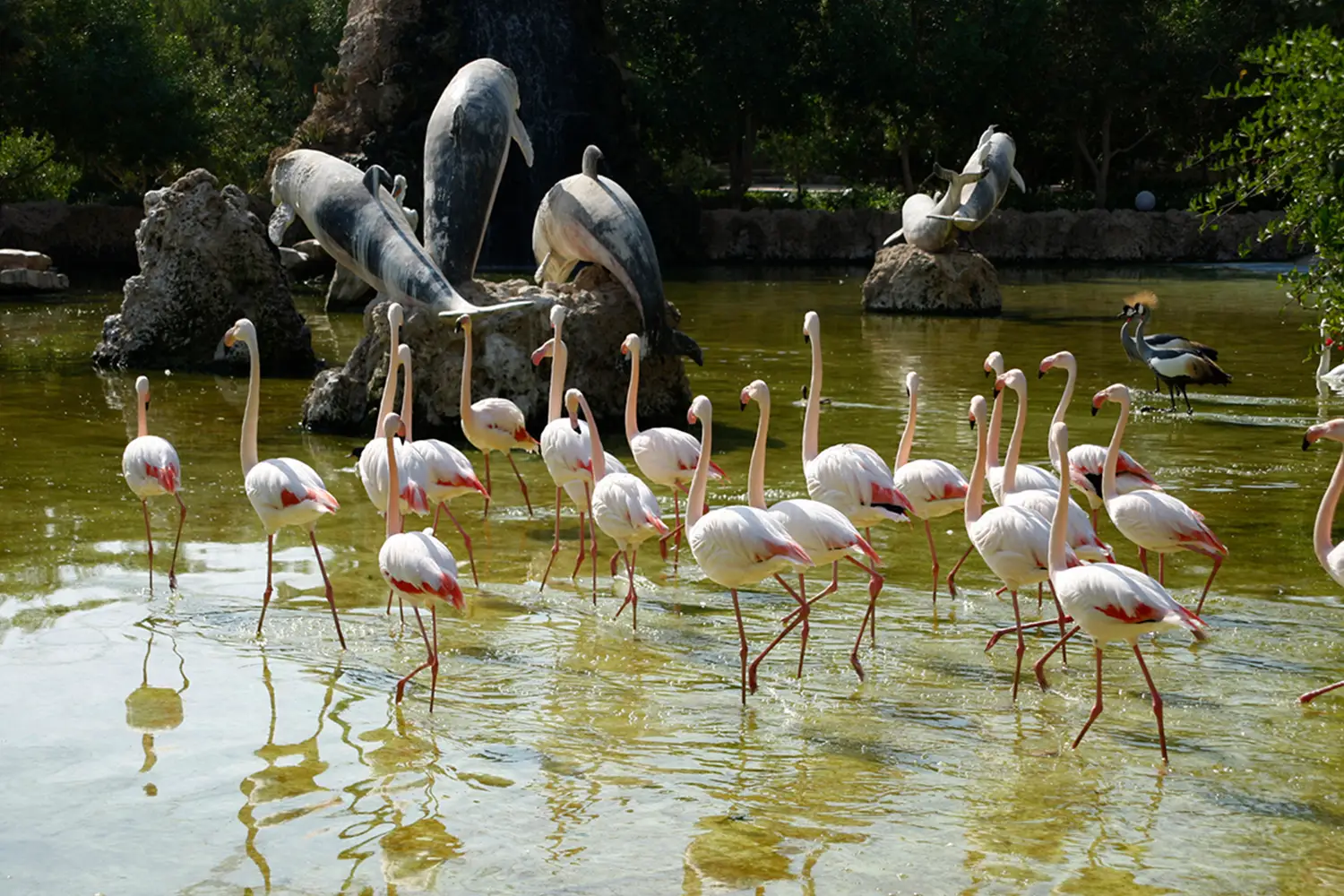 Isfahan Bird Garden — A great place for family outings.