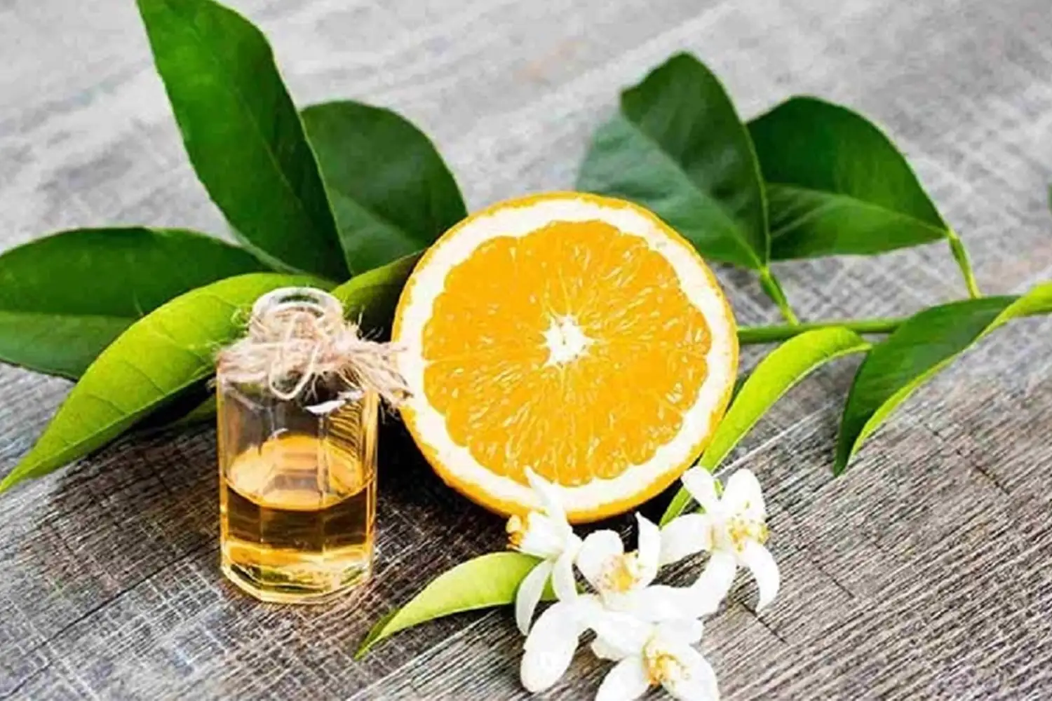 Orange Blossom: The most fragrant souvenir of Shiraz.