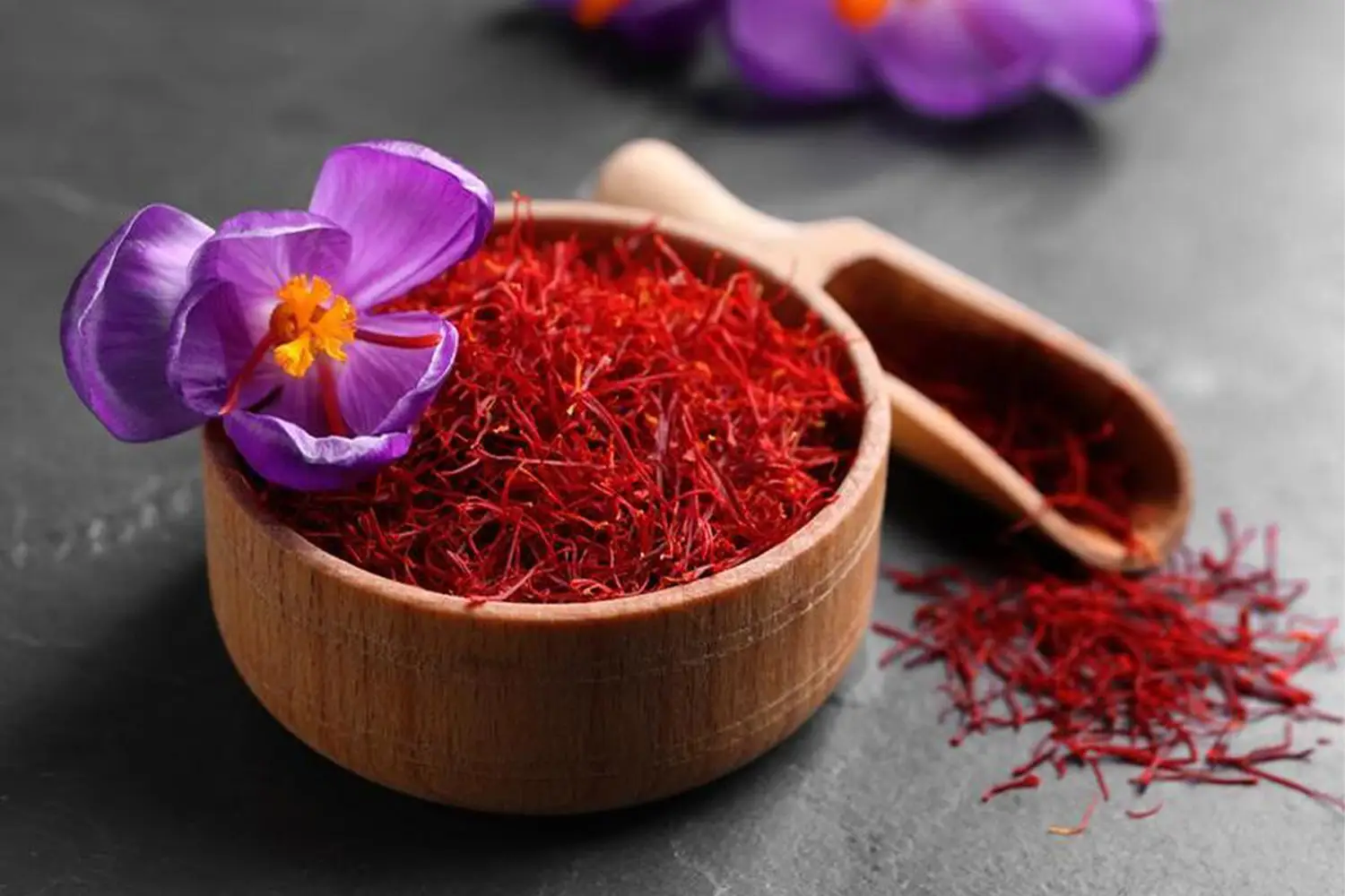 Saffron — The best-quality saffron in Iran.Saffron — The best-quality saffron in Iran.Saffron — The best-quality saffron in Iran.Saffron — The best-quality saffron in Iran.Saffron — The best-quality saffron in Iran.Saffron — The best-quality saffron in Iran.