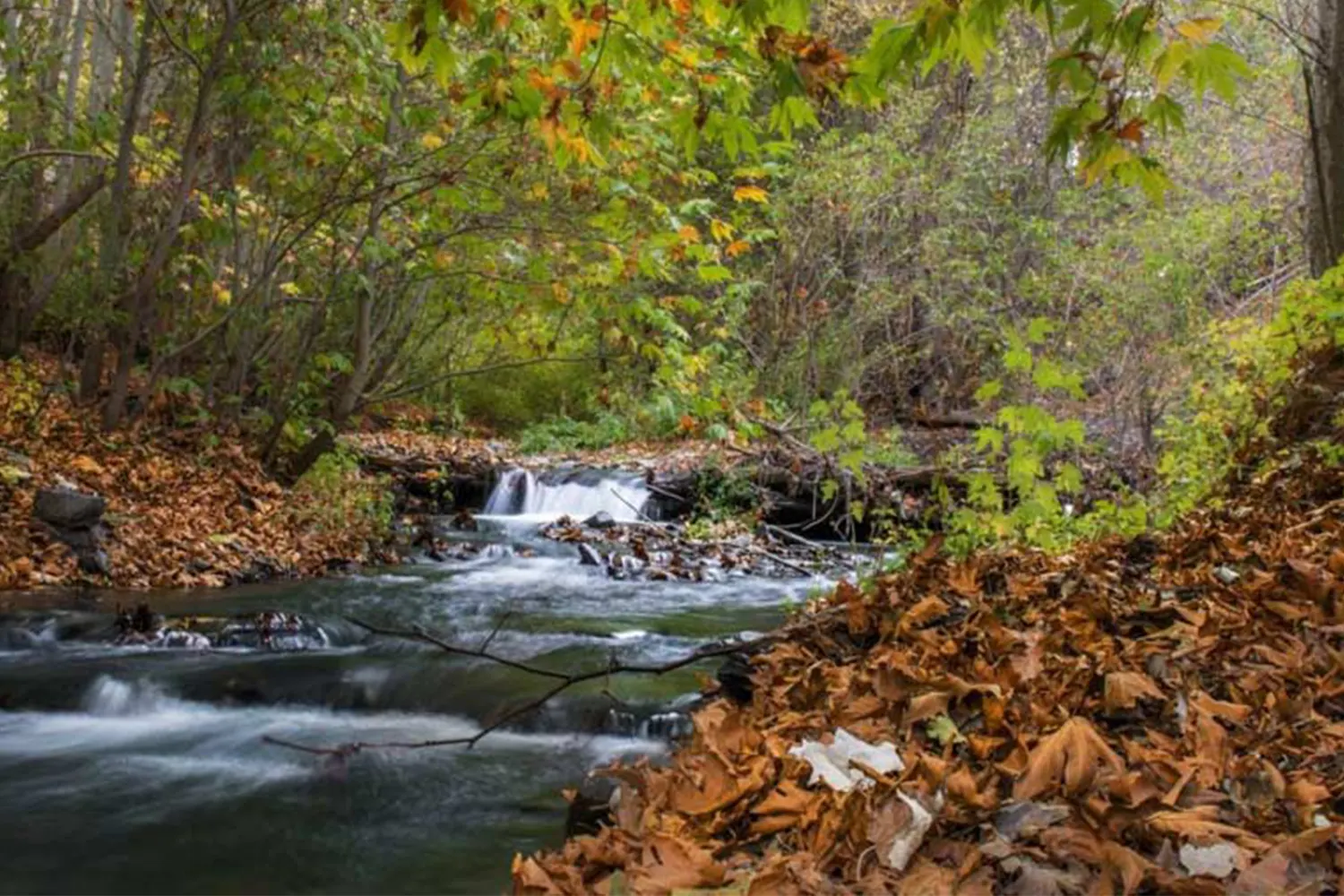 Torghabeh and Shandiz — Lush, cool countryside villages known for restaurants and nature.
