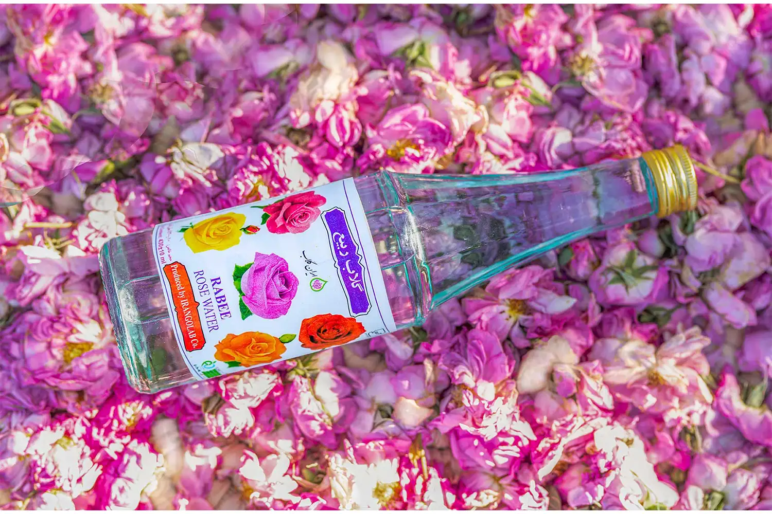 Rosewater (Golab)